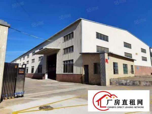  东莞桥头新出原房东独门独院钢构单一层滴水7.5米带消防喷淋