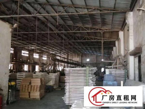  东莞桥头新出原房东独门独院钢构单一层滴水7.5米带消防喷淋