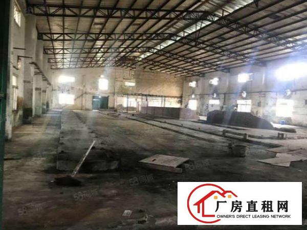  东莞桥头新出原房东独门独院钢构单一层滴水7.5米带消防喷淋