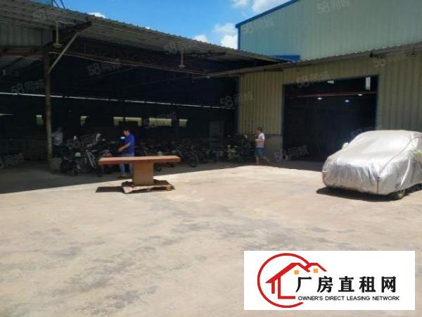  东莞桥头新出原房东独门独院钢构单一层滴水7.5米带消防喷淋
