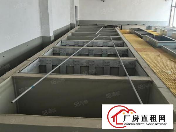  东莞市桥头镇新出氧化铝标准厂房酸洗磷化500平方起分