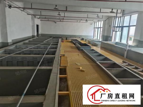  东莞市桥头镇新出氧化铝标准厂房酸洗磷化500平方起分