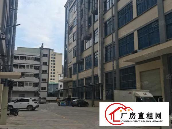  东莞市桥头镇新出氧化铝标准厂房酸洗磷化500平方起分