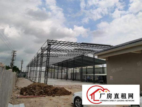  桥头原房东全新独门独院钢结构厂房，电费水费自己缴费！