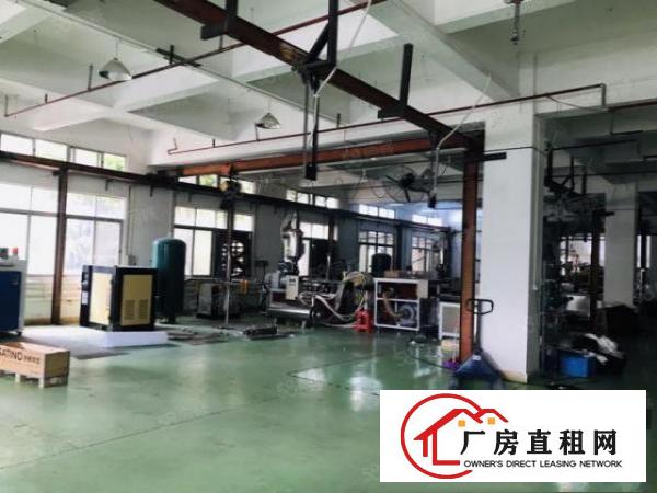  桥头镇新出原房东厂房标准一楼出租1450平方，豪华装修办公室