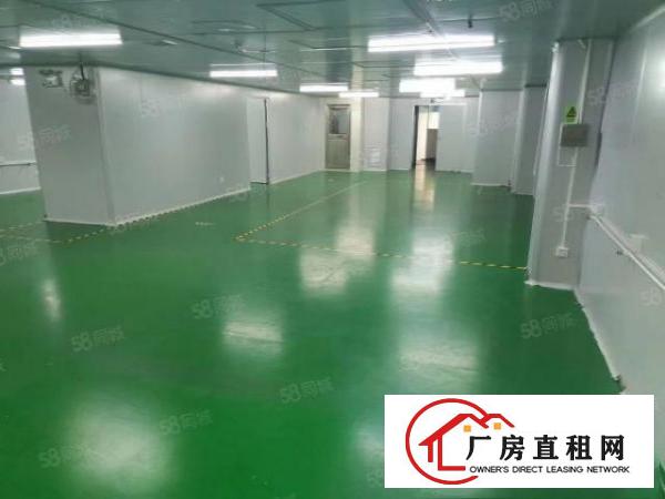  精装修，无尘车间，带空压站，洁净新风设备，现房出租，无装让费