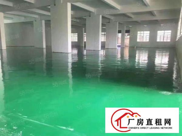  桥头田新无尘车间出租