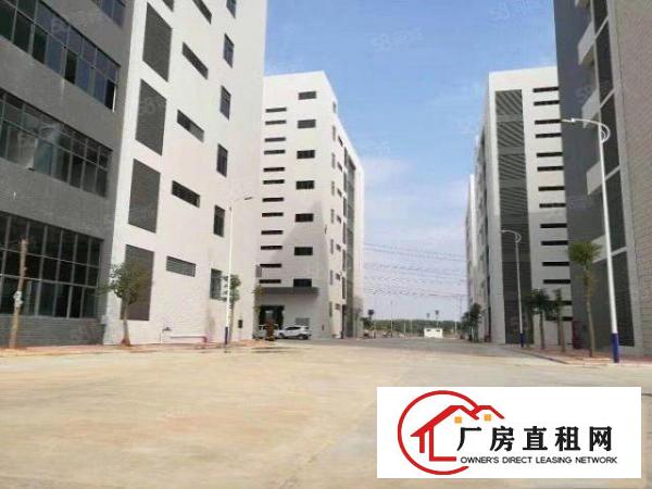  桥头田新无尘车间出租