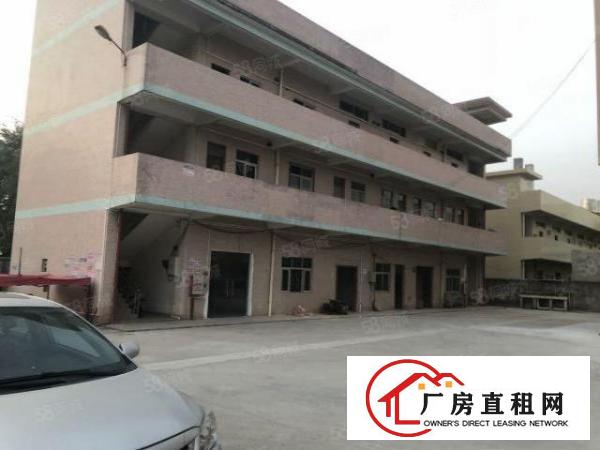  桥头大型工业区全新厂房原房东分租三楼1000平方，水电齐全！