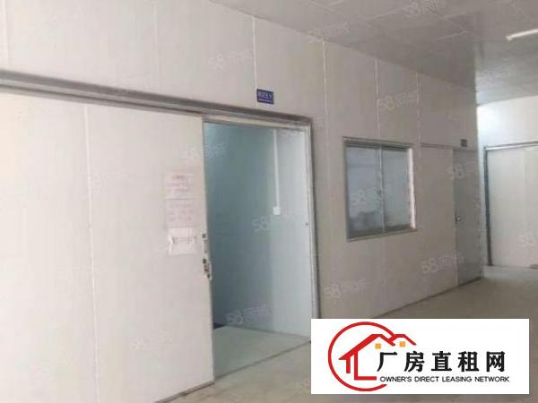  桥头镇标准厂房二楼1300平方，带有精装豪华办公室