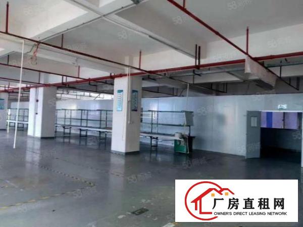  桥头镇新出原房东标准厂房二楼350平方，全新地坪漆