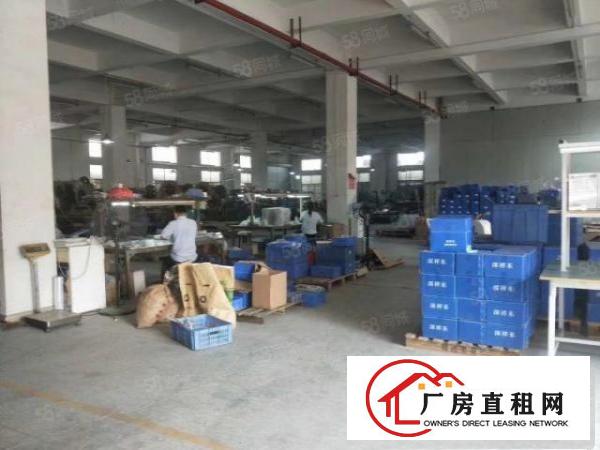  桥头镇新出原房东标准厂房二楼350平方，全新地坪漆