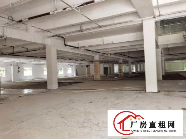  桥头镇新出独门独院厂房任意分租出租6000平方，空地超大