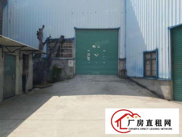  桥头新建单一层钢构铁皮原房东厂房！工业用地滴水8米1000平