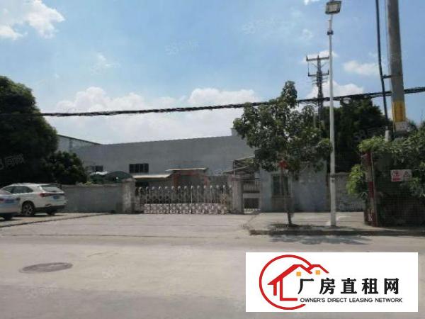  桥头新建单一层钢构铁皮原房东厂房！工业用地滴水8米1000平