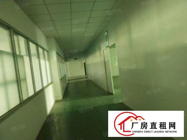  桥头镇新出原房东标准厂房一楼280平方，带有现成精装办公室