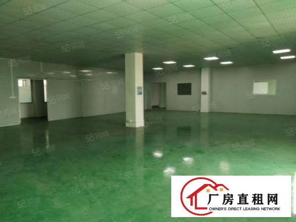  桥头镇新出原房东标准厂房一楼280平方，带有现成精装办公室