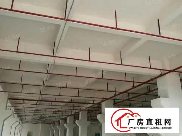  桥头新出包装产业园，大小可分租，实力房东统一办理包材类环评