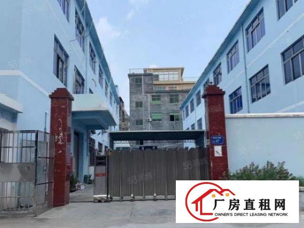  桥头镇新出原房东标准一楼厂房出租，带现成消防喷淋