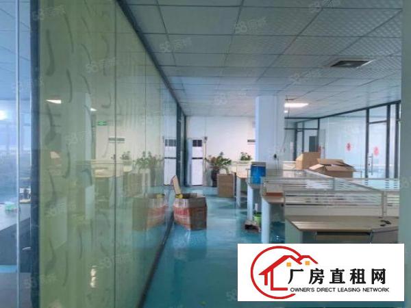  桥头镇新出原房东标准一楼厂房出租，带现成消防喷淋