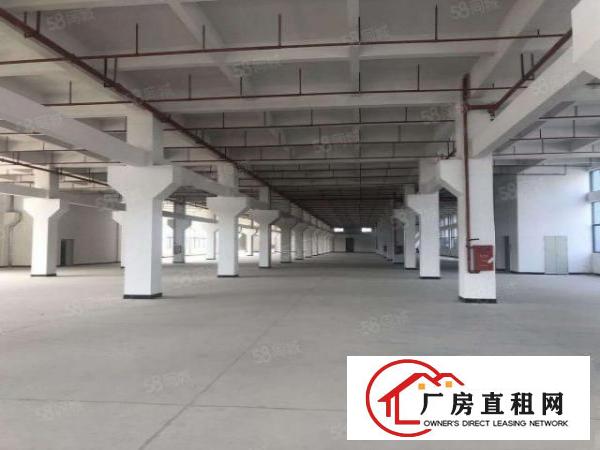  桥头全新国有证厂房，工业聚集地，证件齐全，可整租，可份租！!