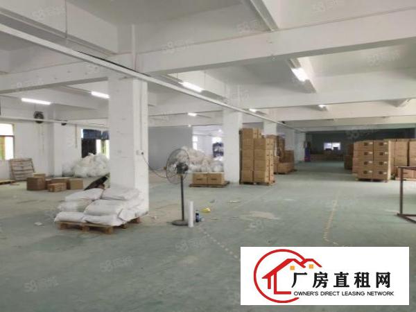  桥头镇独门独院原房东4300平方厂房可分租