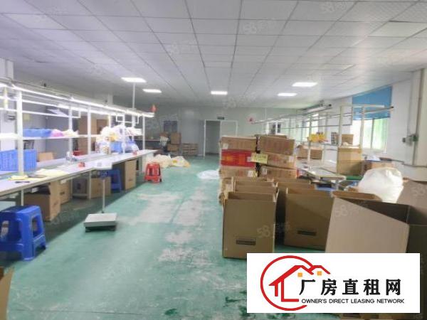  桥头镇独门独院原房东4300平方厂房可分租