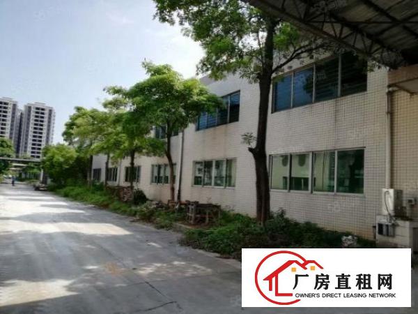 桥头东江新出原房东全新单一层钢结构8000平方滴水10米