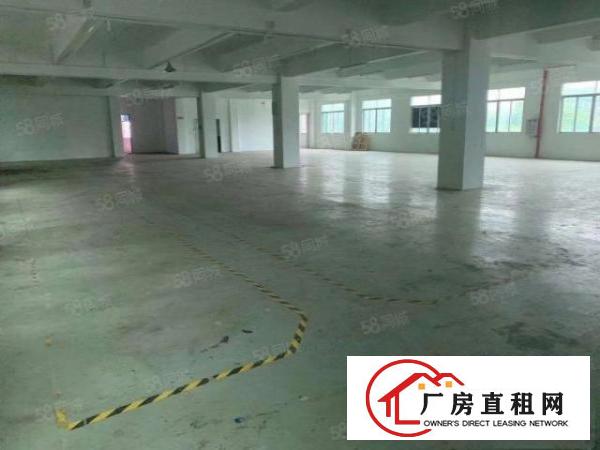  桥头镇新出原房东标准厂房三楼1200平方，现成地坪漆