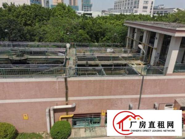  氧化，化工，现有正规氧化拍照厂房1500平方，可分租，