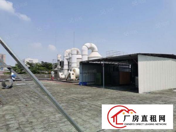  氧化，化工，现有正规氧化拍照厂房1500平方，可分租，