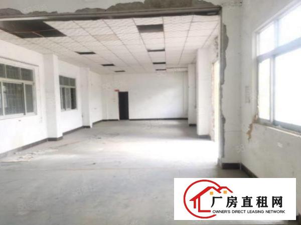  原房东，独门独院标准厂房，可整租，可分租，空地大，电可过户