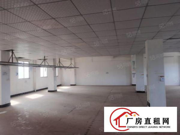  原房东，独门独院标准厂房，可整租，可分租，空地大，电可过户