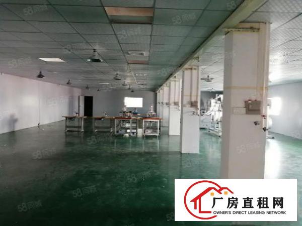  桥头新出原房东独门独院三层标准厂房