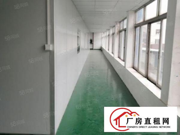  桥头新出原房东独门独院三层标准厂房