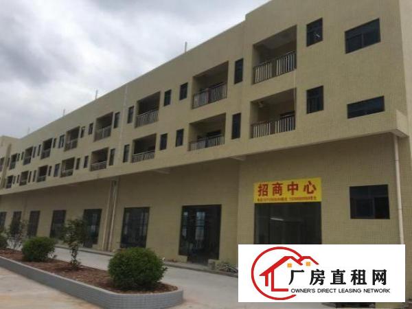  常平全新厂房长赢科技园