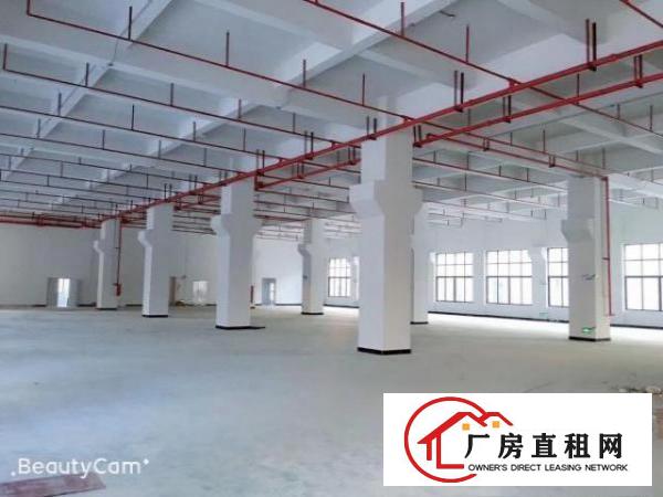  常平全新厂房长赢科技园