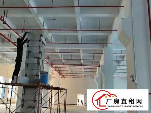  常平全新厂房长赢科技园