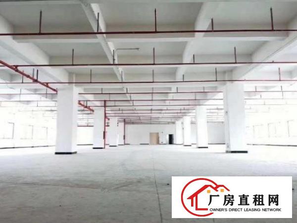  常平全新厂房长赢科技园