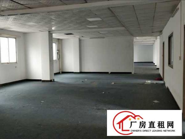  常平原房东16元厂房