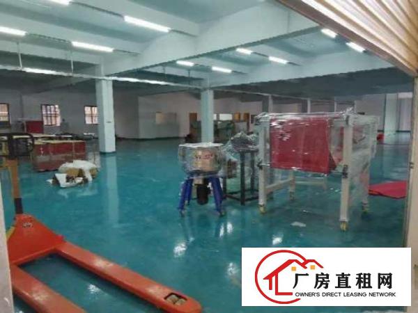  常平镇新出工业园独门独院带地坪漆豪华装修办公室标准厂房出租