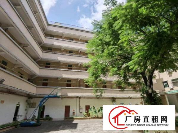  东莞常平镇司马村自有厂房招租