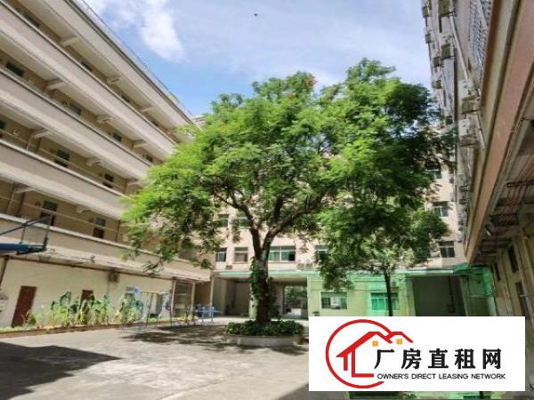  东莞常平镇司马村自有厂房招租