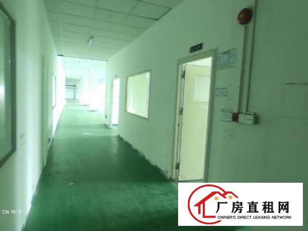  全新装修，面积实在，价格优惠。