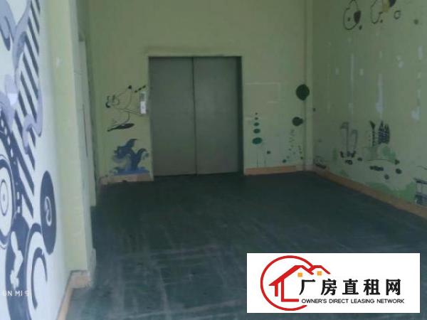  全新装修，面积实在，价格优惠。