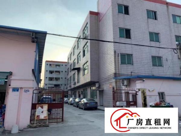  常平木伦刘家敦村厂房