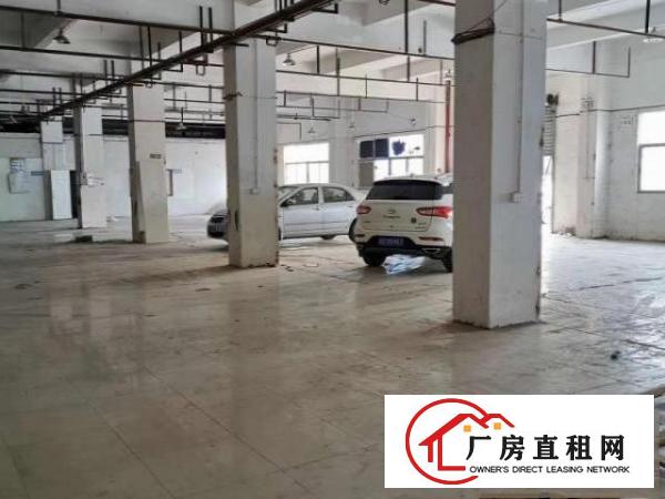  常平镇松柏塘工业园一楼2200平方出租