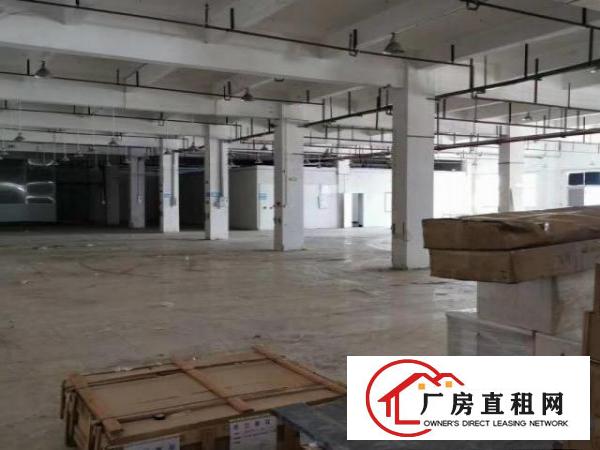  常平镇松柏塘工业园一楼2200平方出租