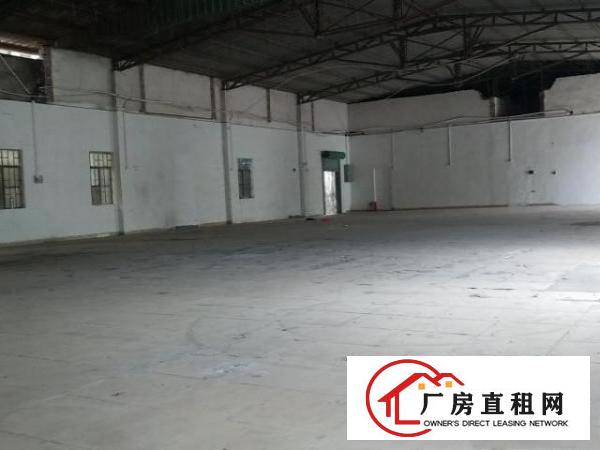  常平桥沥独门独院3000平