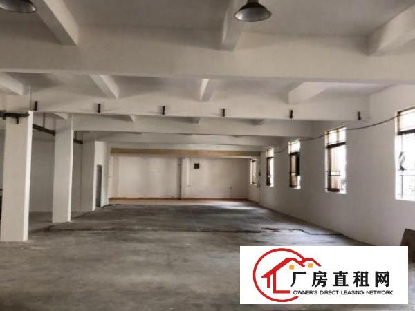  工业区独门独院标准厂房出租